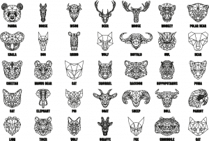 Colección de animales