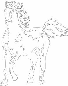 Caballo de cuerpo completo