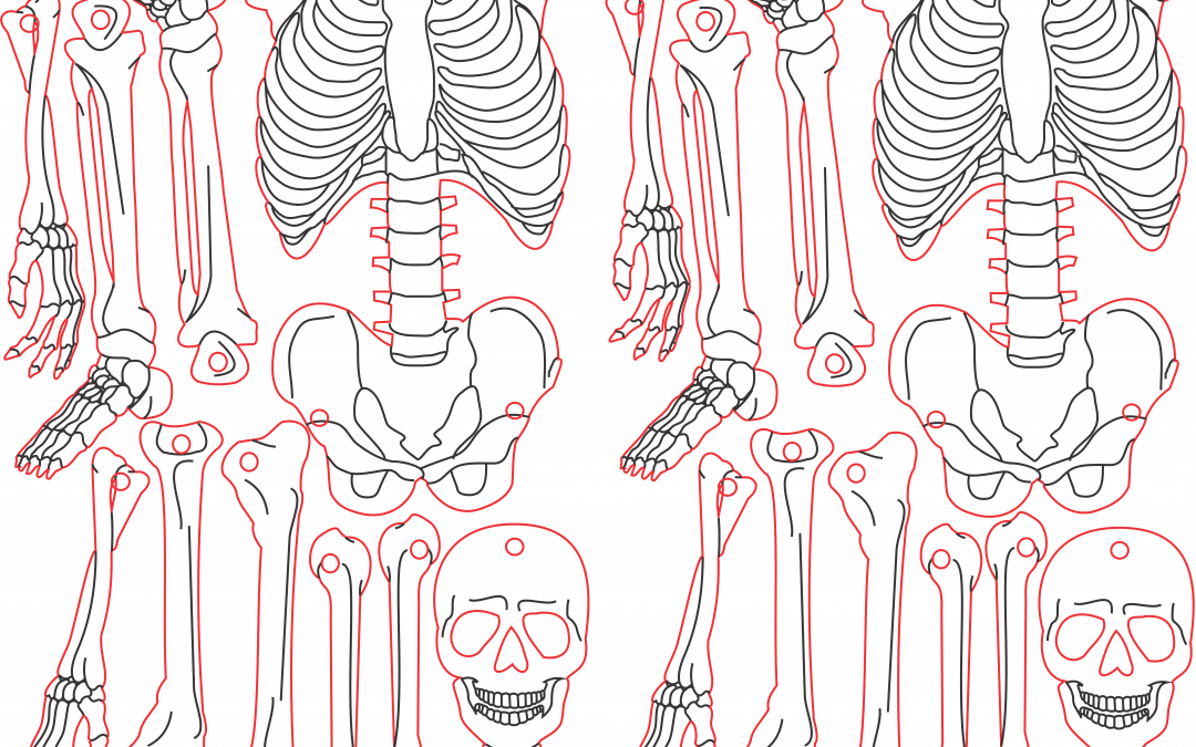 Esqueletos