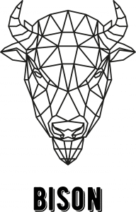 Bisonte geométrico