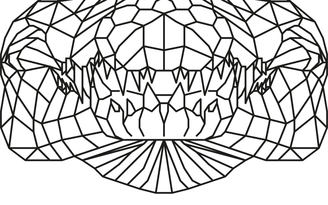 Cocodrilo geométrico