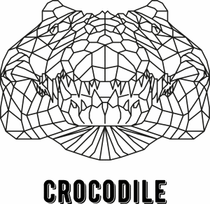 Cocodrilo geométrico