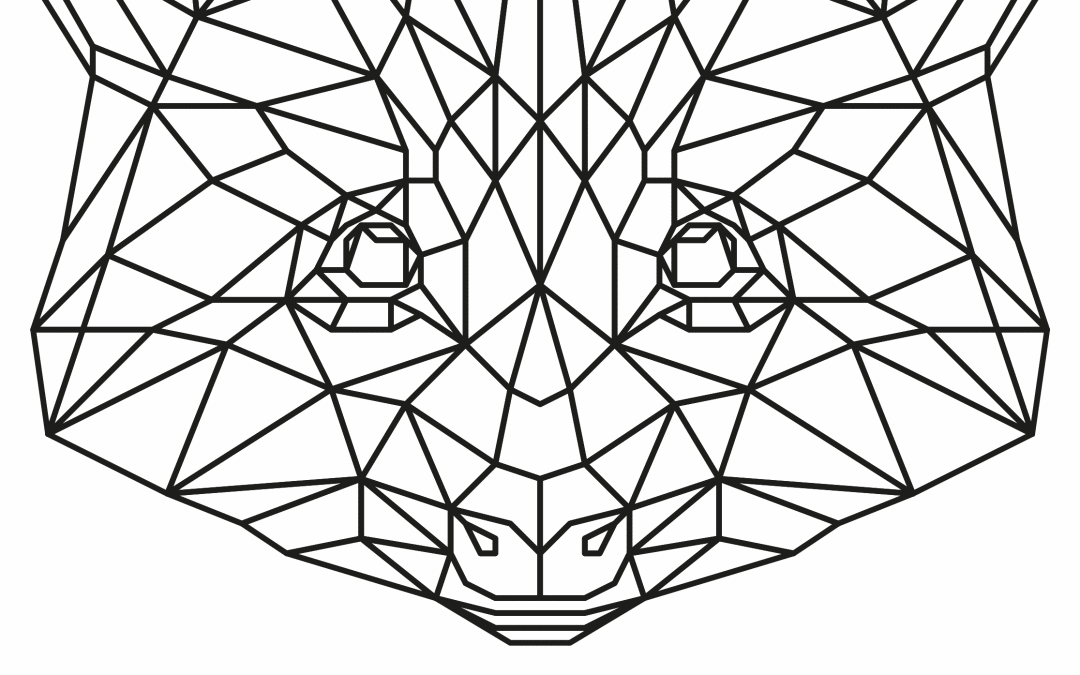 Mapache geométrico