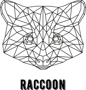 Mapache geométrico