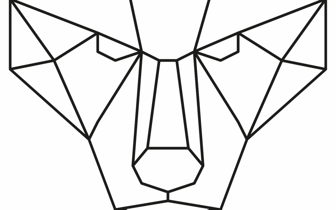 Oso geométrico