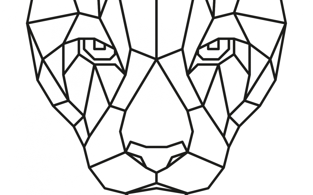 Puma geométrico