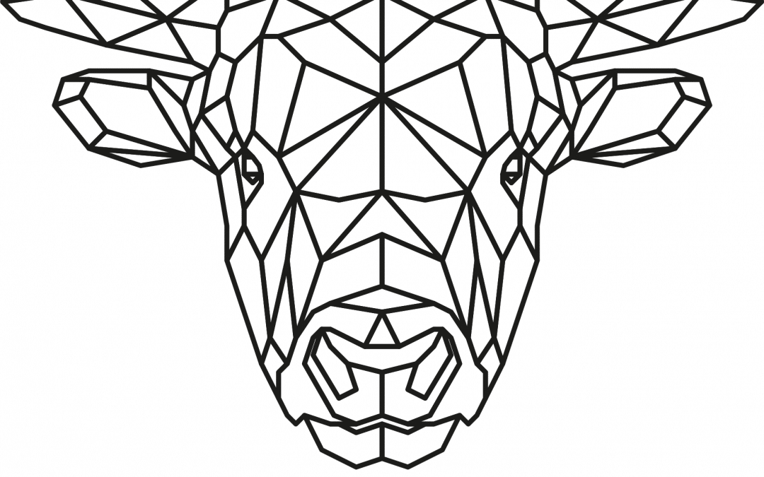 Toro geométrico