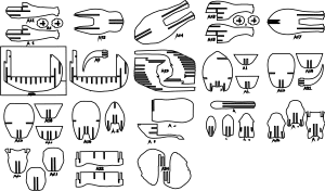 Elefante tridimensional