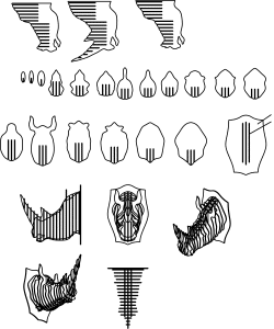 Cabeza de rinoceronte
