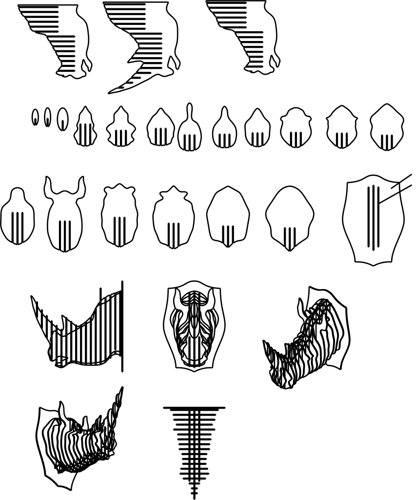 Cabeza de rinoceronte — vector para corte CNC