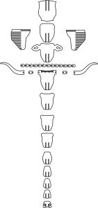 Cabeza de búfalo 3D
