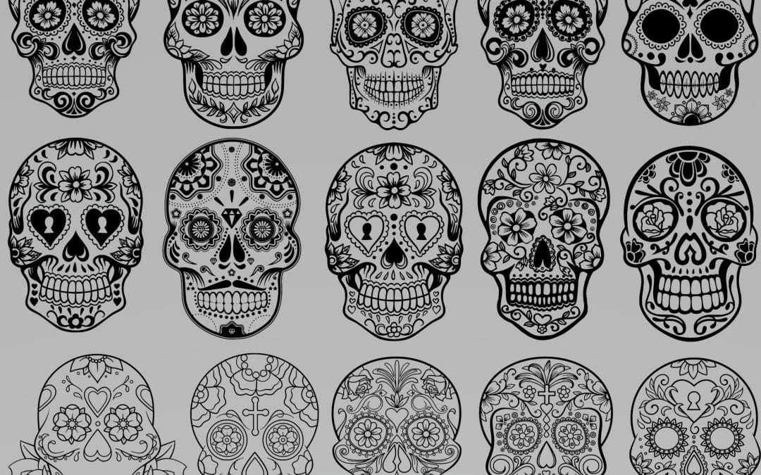Galería de cráneos