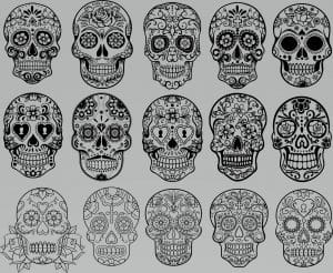Galería de cráneos
