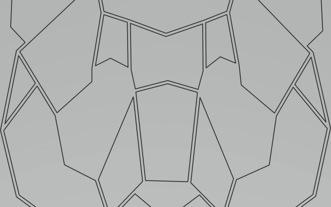 Oso geométrico 2