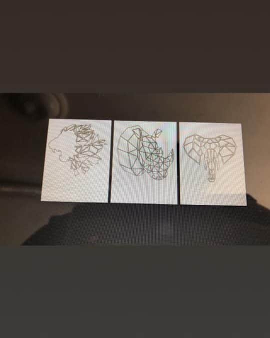 Animales geométricos