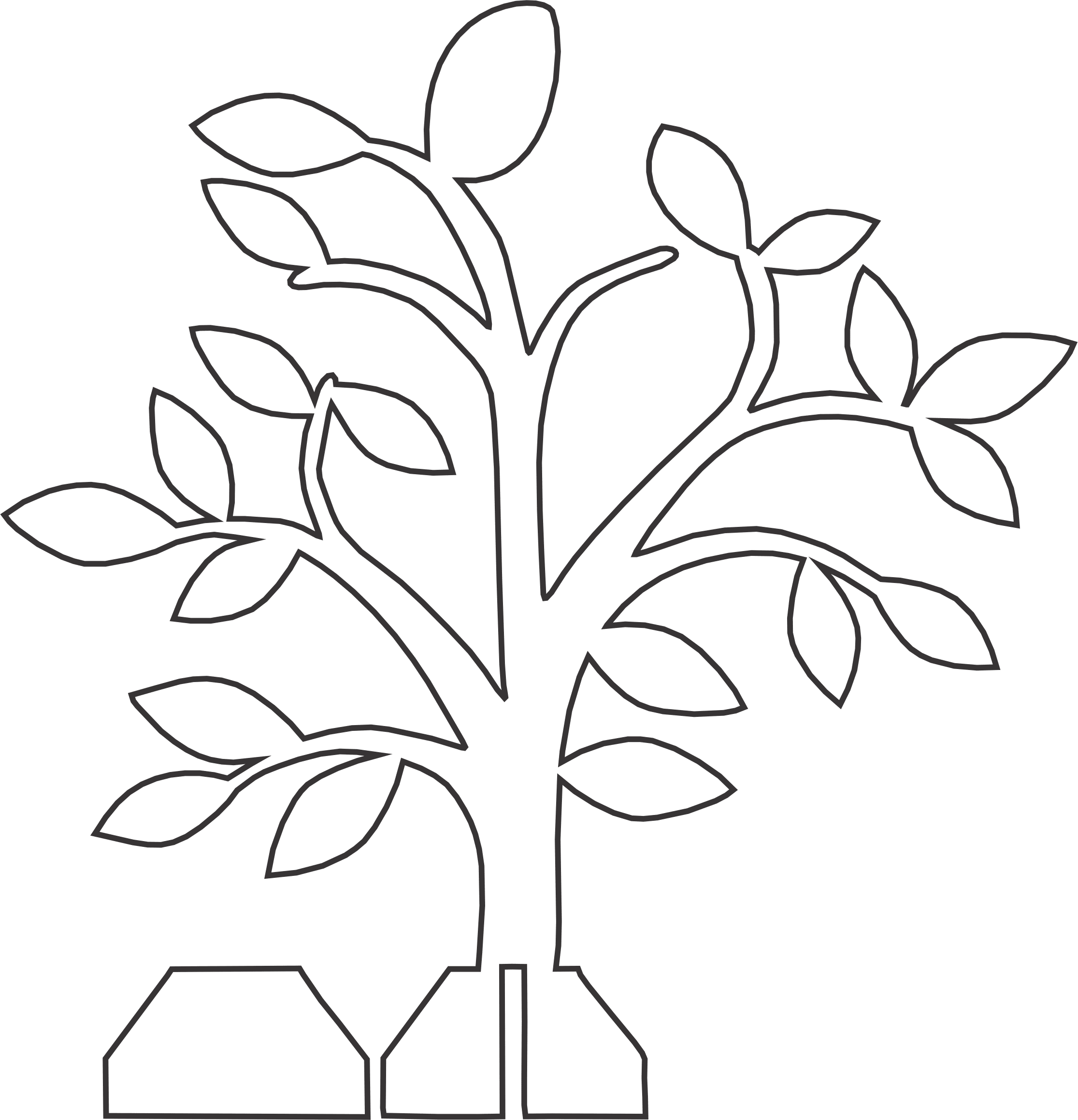 farmacéutico dentro de poco Solitario Árbol de ramas y hojas escasas - Stanser