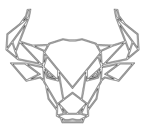 Cabeza de toro de frente