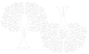 Árbol sin hojas ensamblable