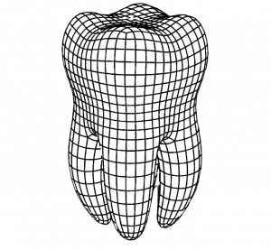 Muela 3D