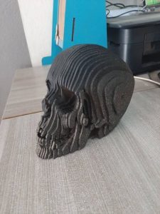 Cráneo humano 3D
