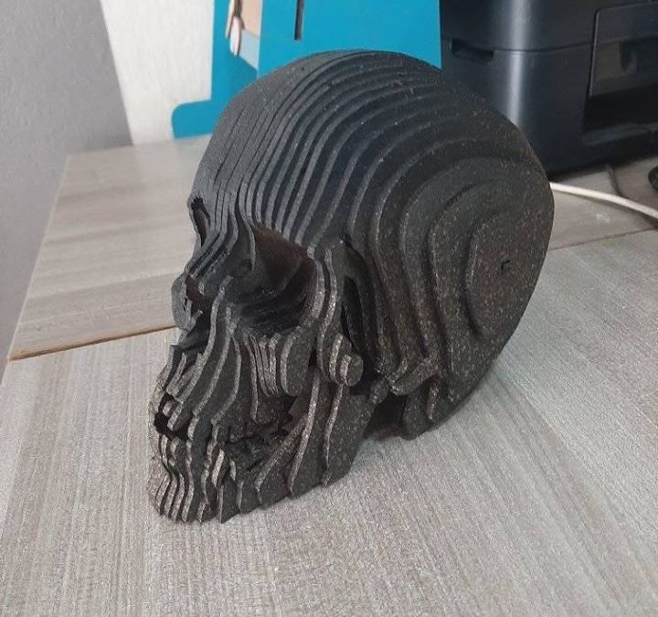 Cráneo humano 3D