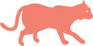 Lince