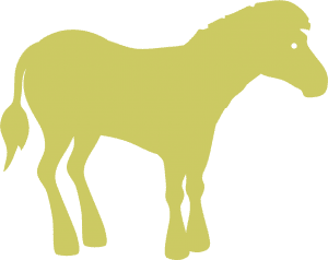 Poni