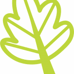 Hoja naturaleza - Vector descarganle para corte CNC y grabado laser gratis | Stanser