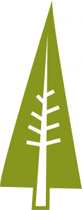 Árbol pino