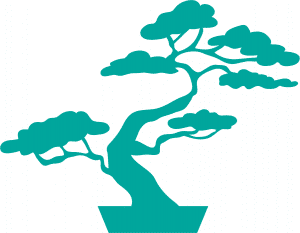Árbol bonsái