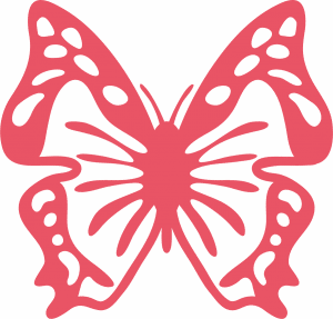Mariposa alas grandes