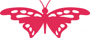 Mariposa alas grandes