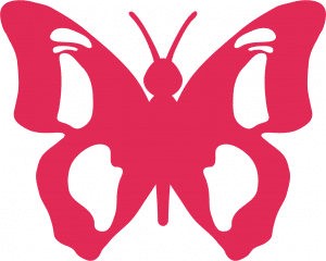 Beauty butterfly