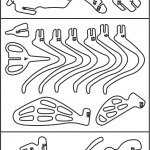 Clasificación de huesos de dinosaurio - Vector descarganle para corte CNC y grabado laser gratis | Stanser