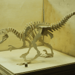 Esqueleto de Velociraptor - Vector descarganle para corte CNC y grabado laser gratis | Stanser