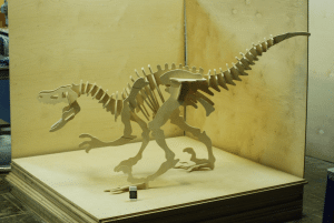 Esqueleto de Velociraptor