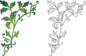 Enredadera verde