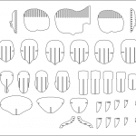 Cabeza humana 3D - Vector SVG DXF para CNC Router y Laser CO2 - Descargable gratis | Stanser