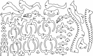 Huesos de Brontosaurio a 3mm