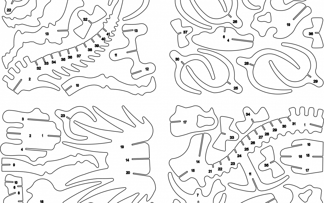 Huesos de styracosaurus a 1mm