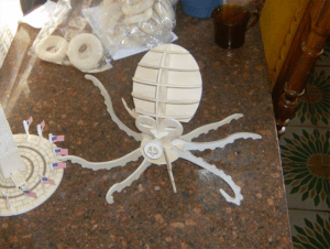 Pulpo 3D