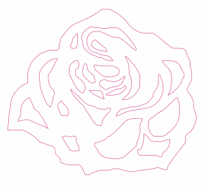 Rosa