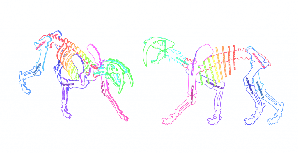 Esqueleto de tigre dientes de sable 2 — vector para corte CNC