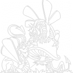 Dragones con alas de hada - Vector SVG DXF para CNC Router y Laser CO2 - Descargable gratis | Stanser