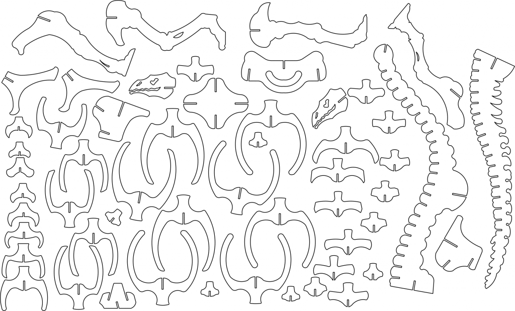 Huesos de Brontosaurio a 6mm — vector para corte CNC