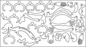 Esqueleto de dinosaurio