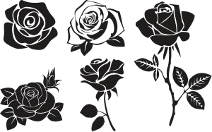 Diseños de rosas