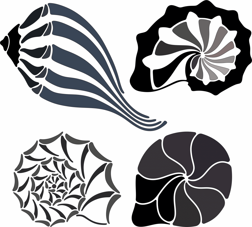 Colección conchas de mar — vector para corte CNC
