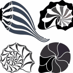 Colección conchas de mar - Vector SVG DXF para CNC Router y Laser CO2 - Descargable gratis | Stanser