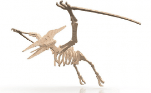 Esqueleto de Pterodáctilo